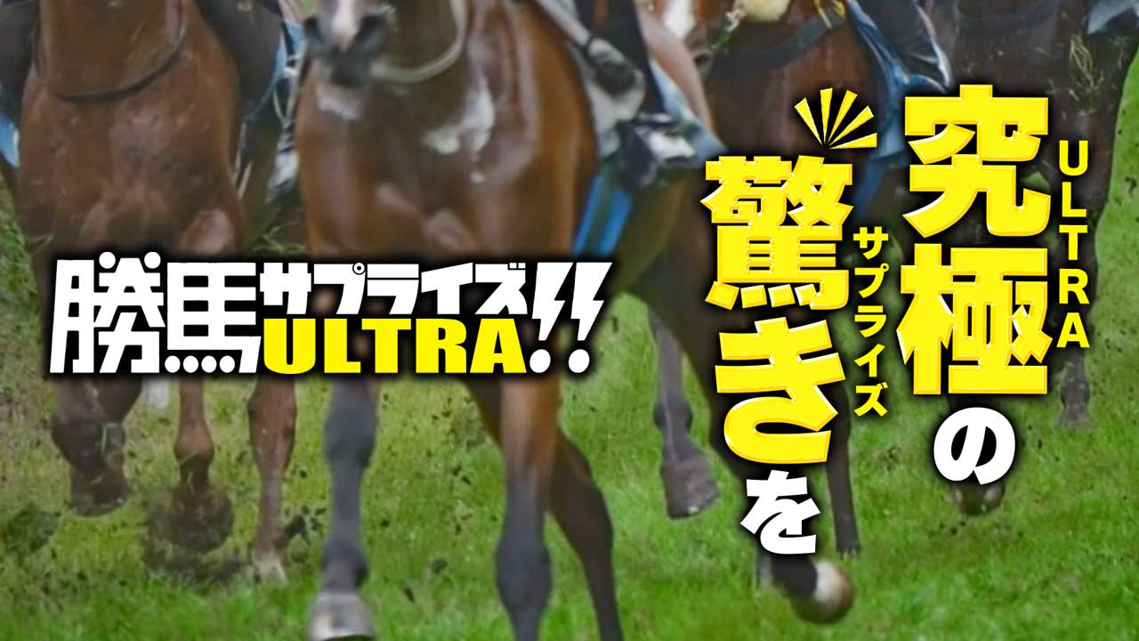 勝馬サプライズウルトラの無料競馬予想は当たるのか?口コミで本物を見極め悪質な嘘を見抜く